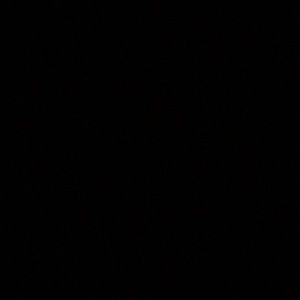 Meet your Posher, Benny